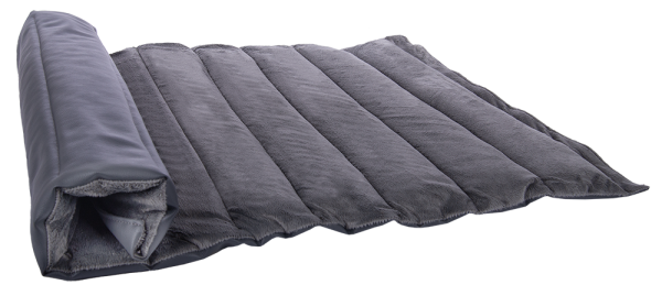 Reisedecke Hund grau